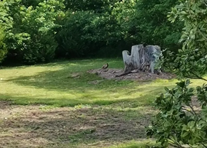 Castel La Bergerie 3*